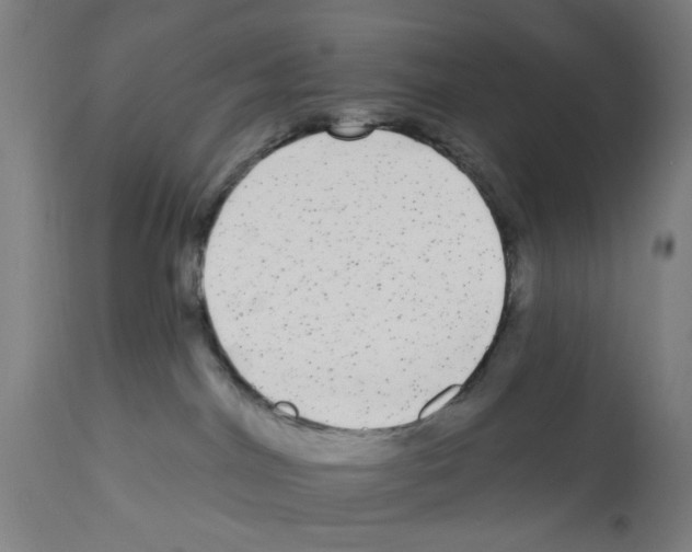 X0000112360044200909241136