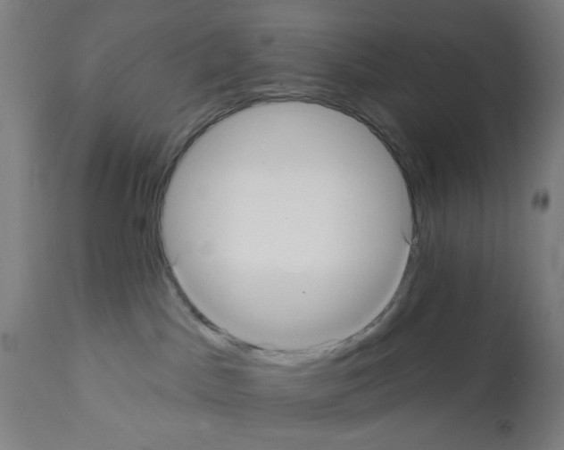 X0000112360045200909241136