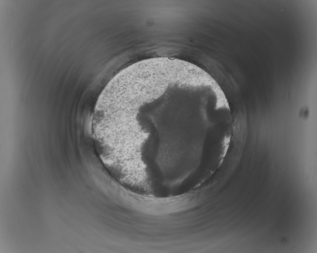 X0000112360046200909241136