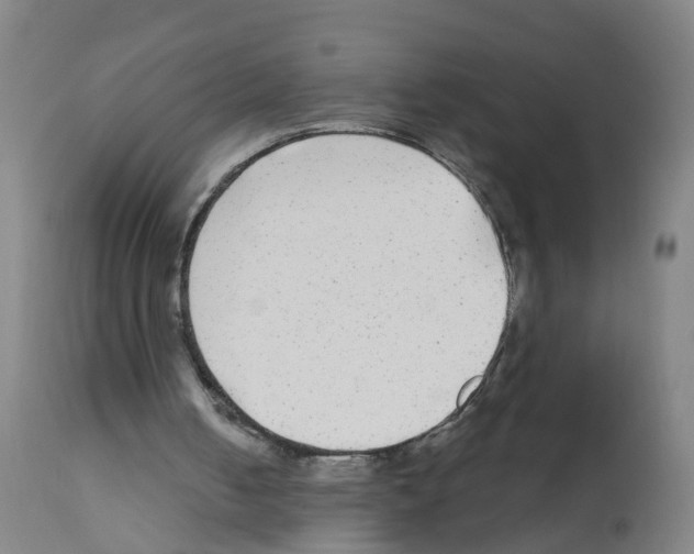 X0000112360050200909241135