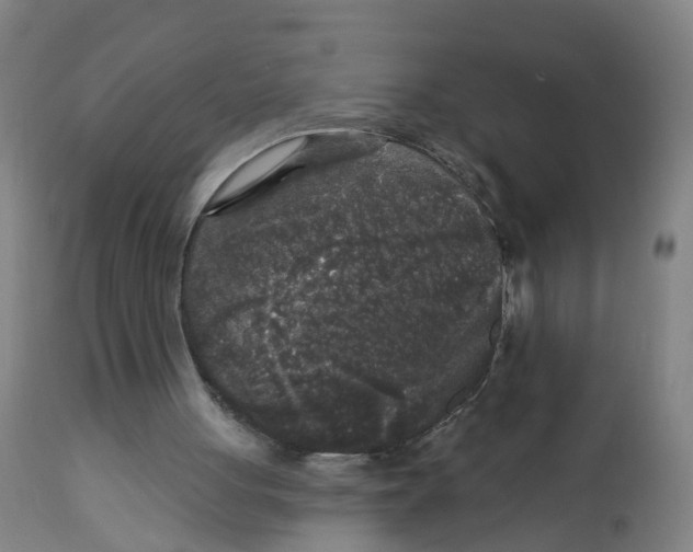 X0000112360051200909241135