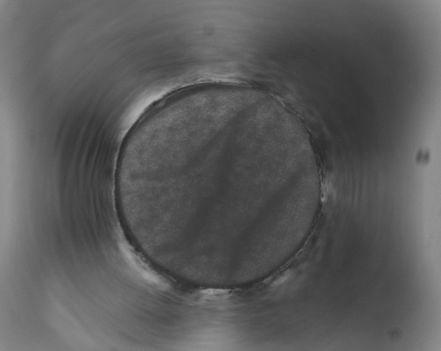 X0000112360052200909241135