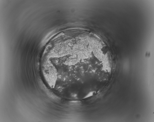 X0000112360053200909241135