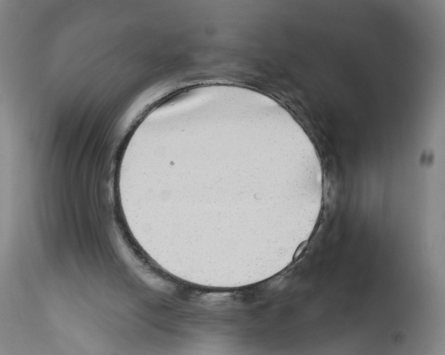 X0000112360054200909241135