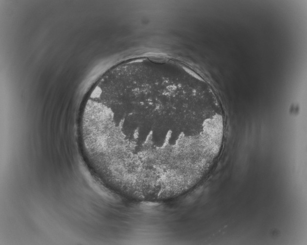 X0000112360055200909241135