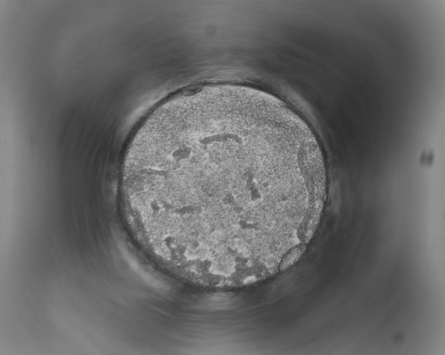X0000112360059200909241135