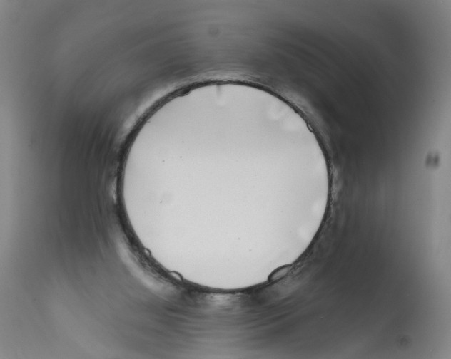 X0000112360060200909241135