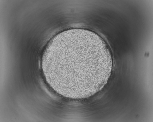 X0000112360061200909241135