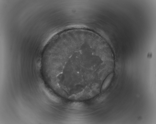 X0000112360063200909241135