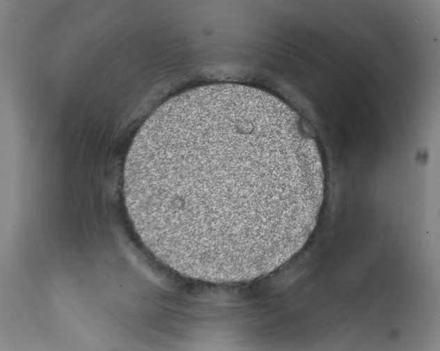 X0000112360065200909241136