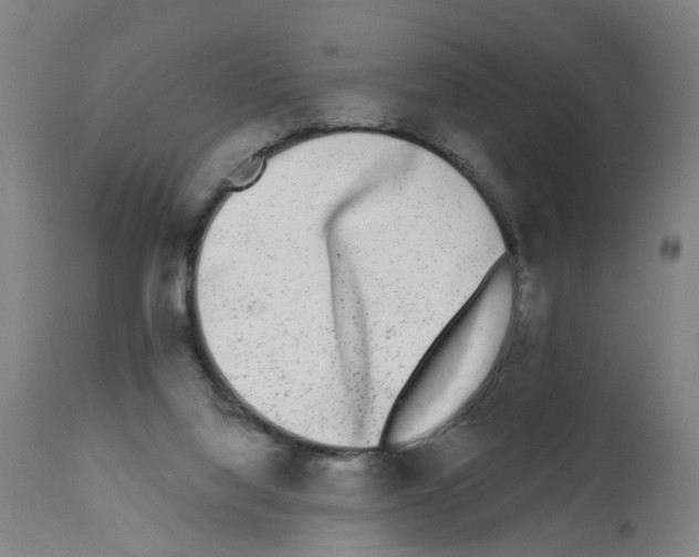 X0000112360068200909241136