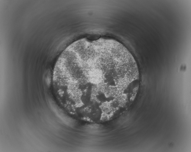 X0000112360069200909241136
