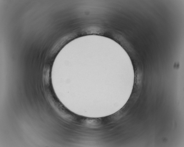 X0000112360070200909241136