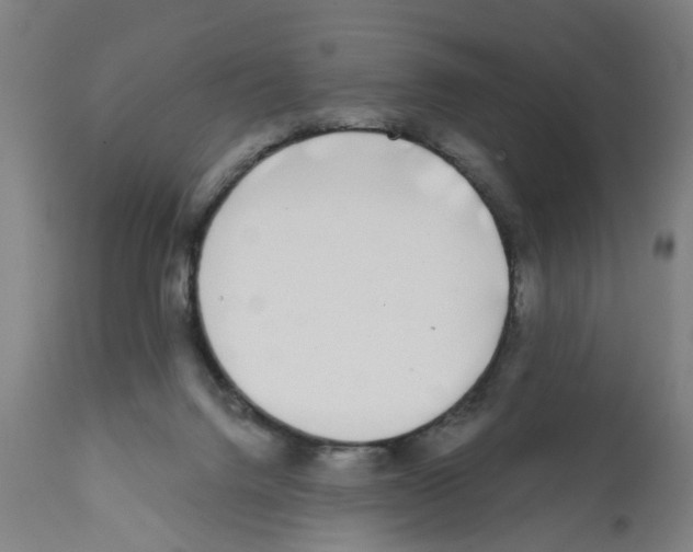 X0000112360072200909241136