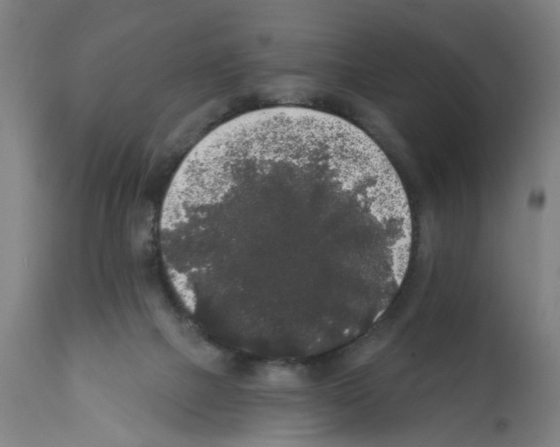 X0000112360073200909241136