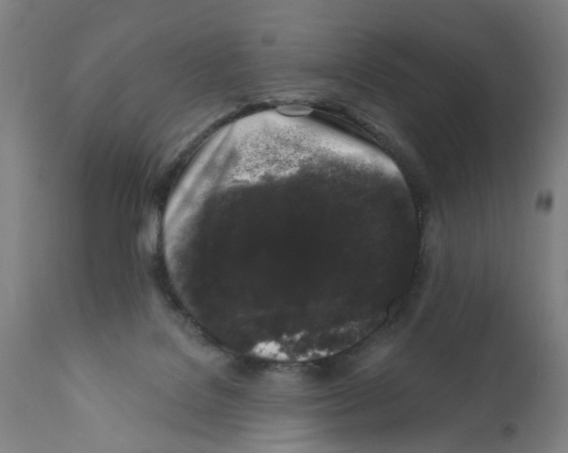 X0000112360076200909241136