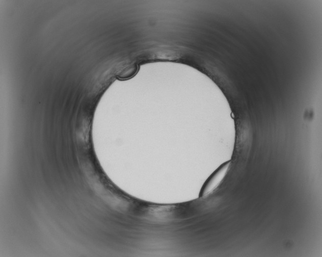 X0000112360078200909241136