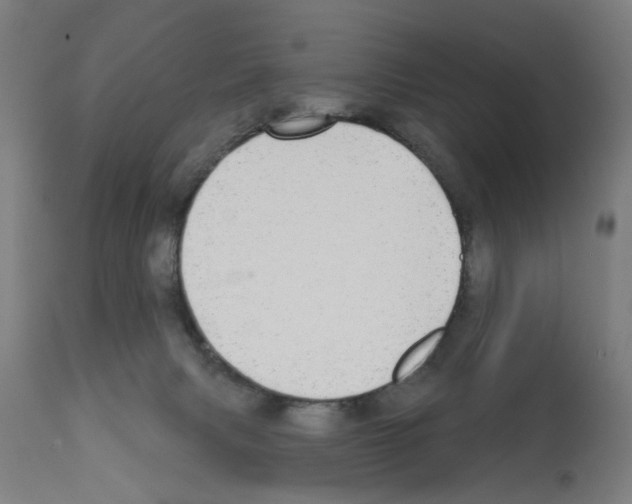X0000112360079200909241136