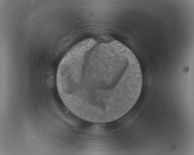 X0000112360080200909241136