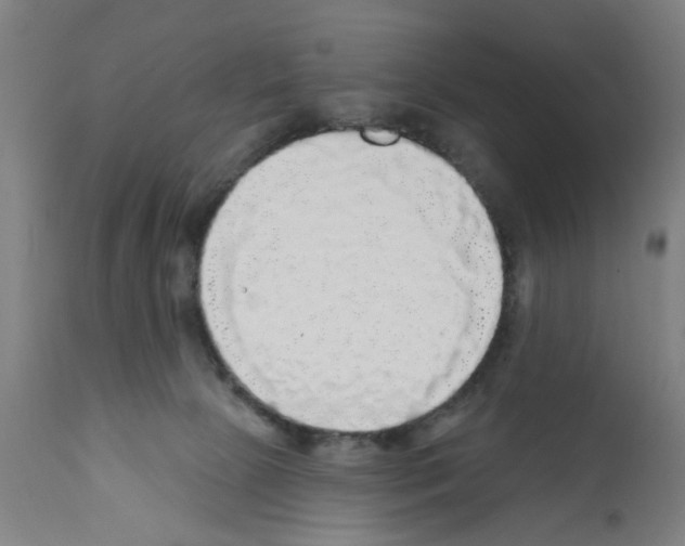 X0000112360081200909241136