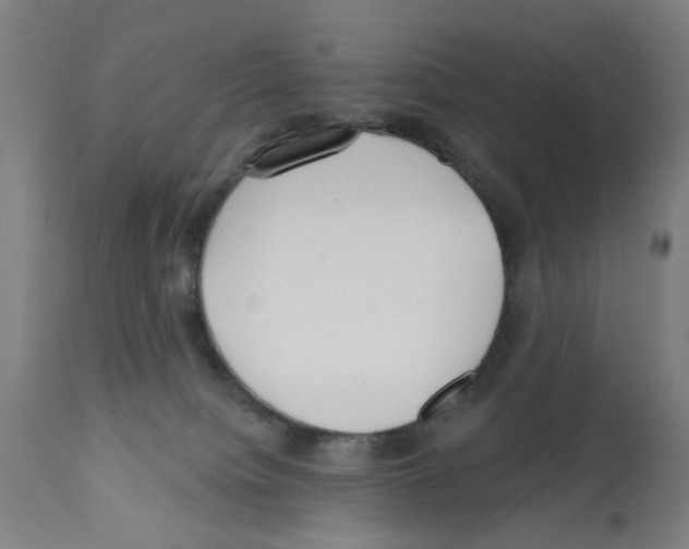 X0000112360084200909241136