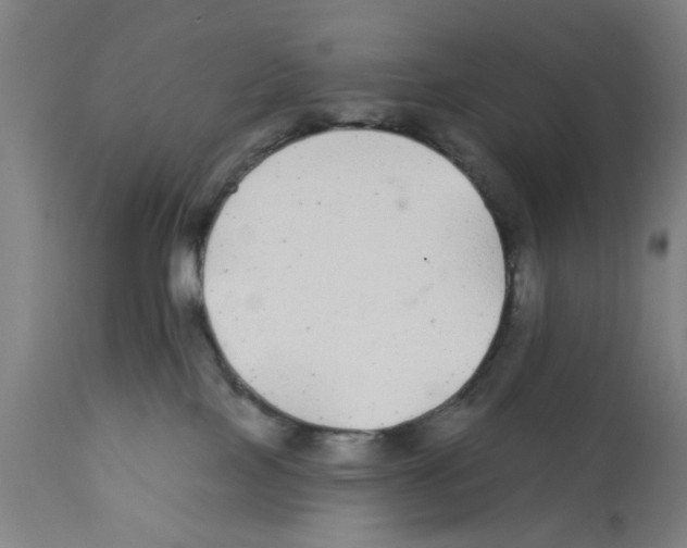 X0000112360089200909241136