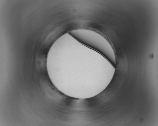 X0000112360092200909241136