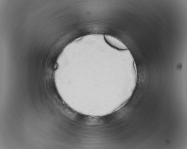 X0000112360093200909241136
