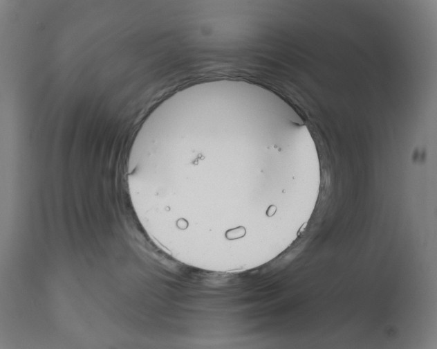 X0000112360096200909241136
