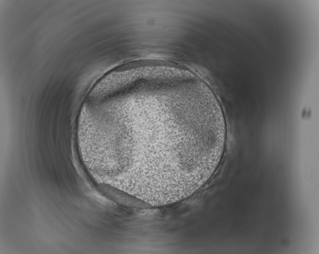 X0000112360097200909241135