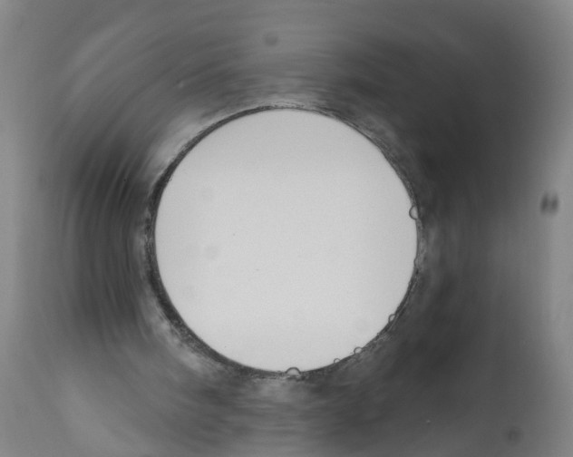 X0000112360098200909241135