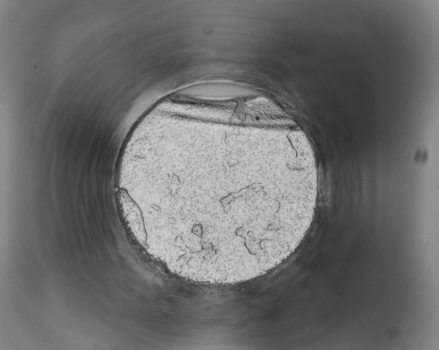 X0000112360099200909241135
