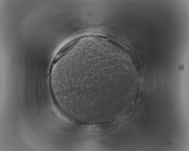 X0000112360100200909241135