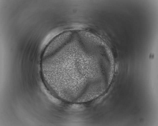 X0000112360101200909241135