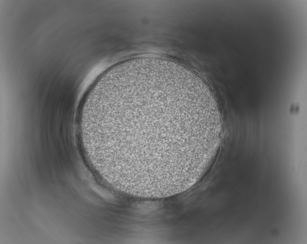X0000112360102200909241135