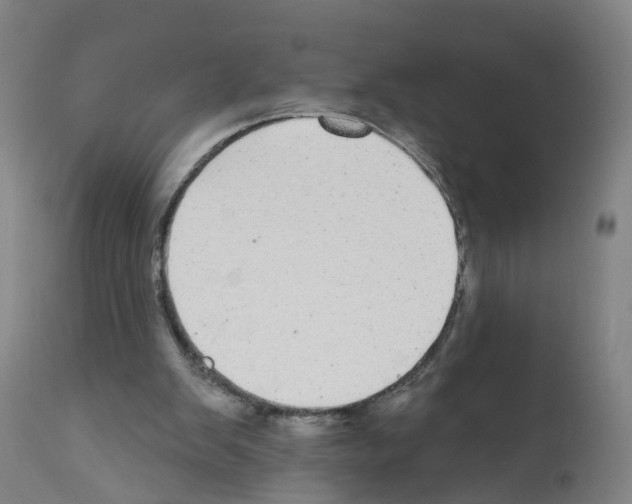 X0000112360103200909241135