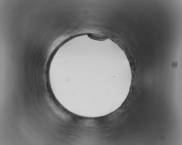 X0000112360104200909241135