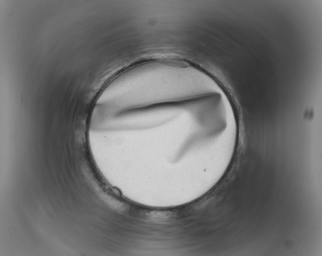X0000112360105200909241135