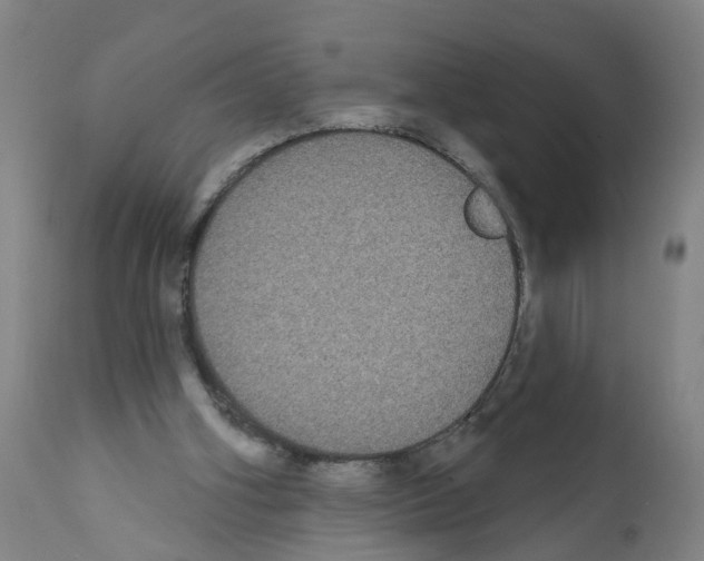 X0000112360106200909241135