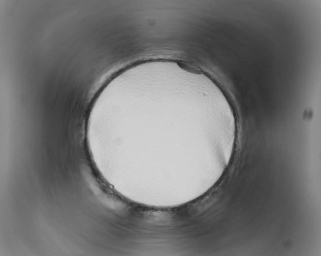 X0000112360107200909241135