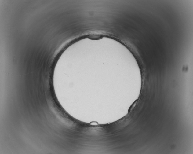 X0000112360108200909241135