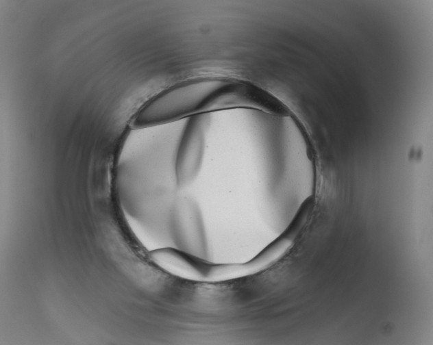 X0000112360109200909241135