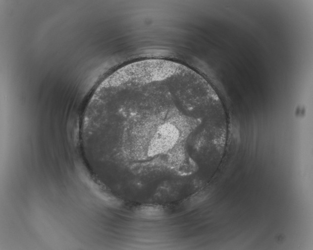 X0000112360110200909241135