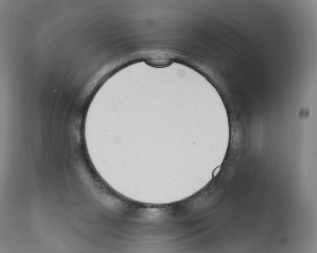 X0000112360111200909241135