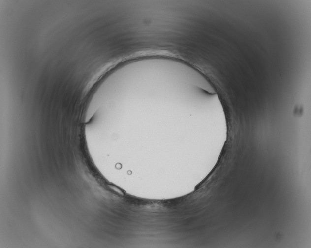 X0000112360112200909241135