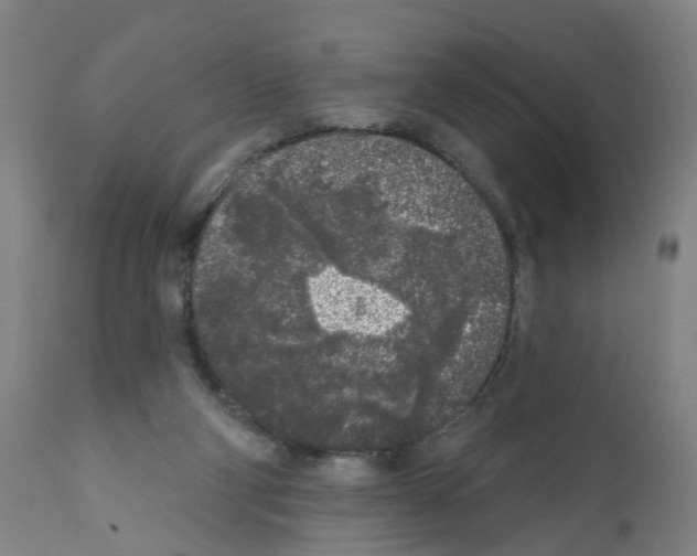 X0000112360114200909241135