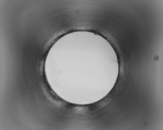 X0000112360115200909241135