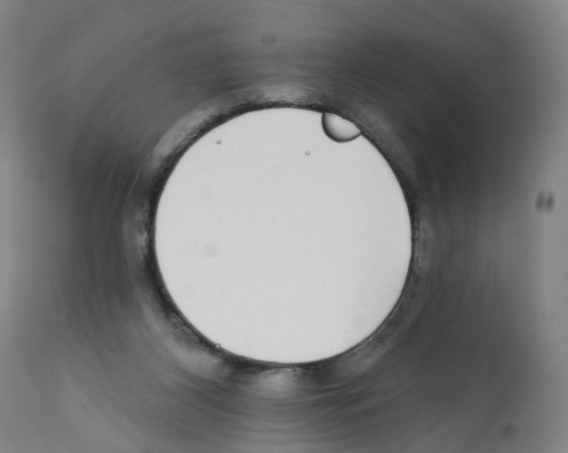 X0000112360116200909241135