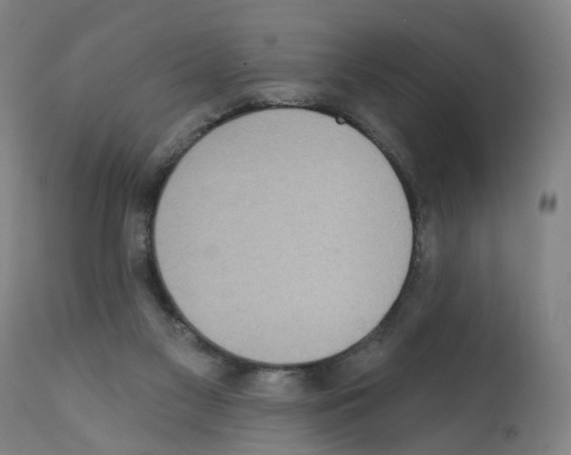 X0000112360117200909241135