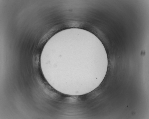 X0000112360118200909241135